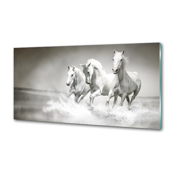 Crédence cuisine en verre Chevaux blancs