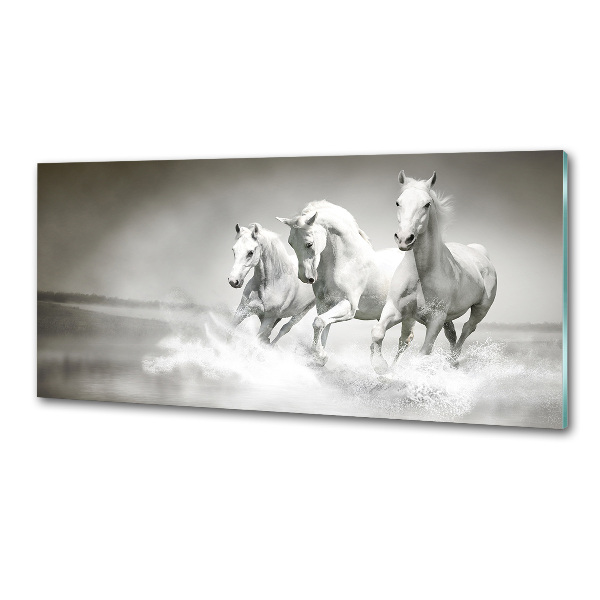 Crédence cuisine en verre Chevaux blancs