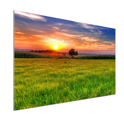 Panneau crédence cuisine Coucher de soleil sur la prairie