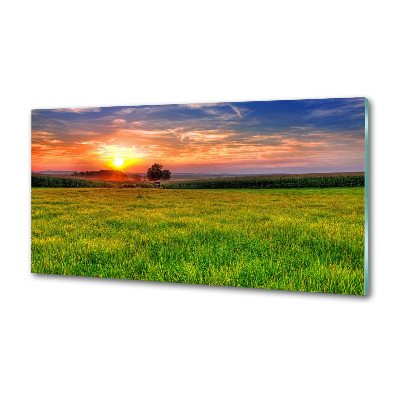 Panneau crédence cuisine Coucher de soleil sur la prairie