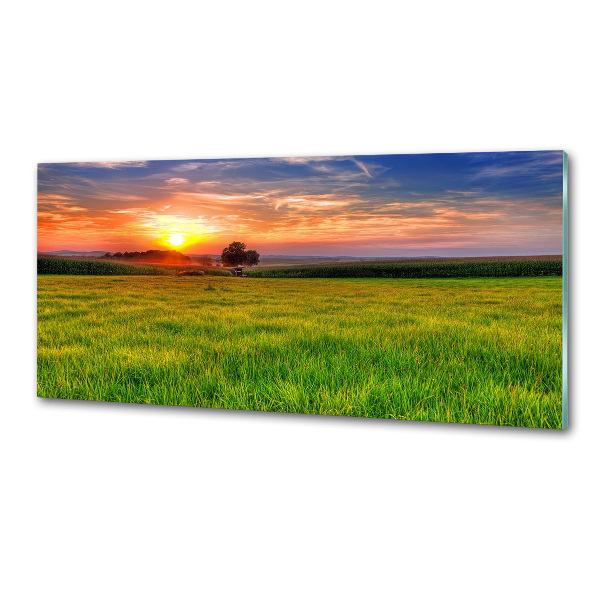 Panneau crédence cuisine Coucher de soleil sur la prairie