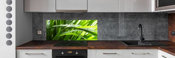 Crédence cuisine en verre Gouttes sur l'herbe