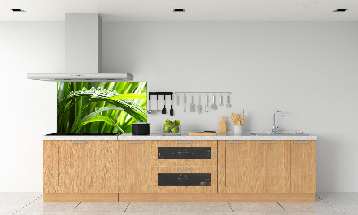 Crédence cuisine en verre Gouttes sur l'herbe