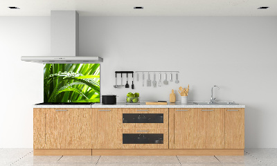 Crédence cuisine en verre Gouttes sur l'herbe