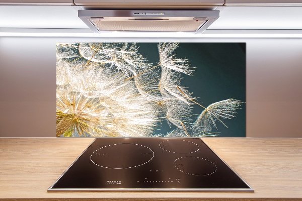 Panneau crédence cuisine Graine de puffin vent