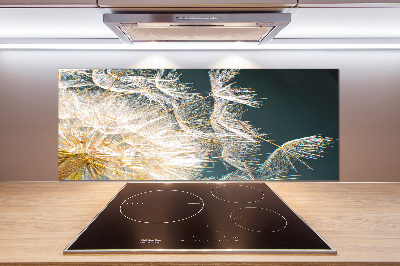 Panneau crédence cuisine Graine de puffin vent