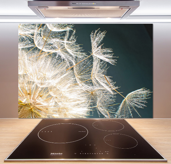 Panneau crédence cuisine Graine de puffin vent