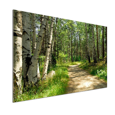 Panneaux muraux cuisine Sentier dans la forêt