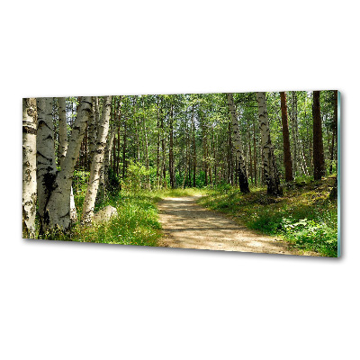 Panneaux muraux cuisine Sentier dans la forêt