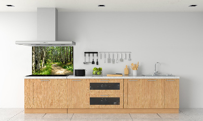 Panneaux muraux cuisine Sentier dans la forêt