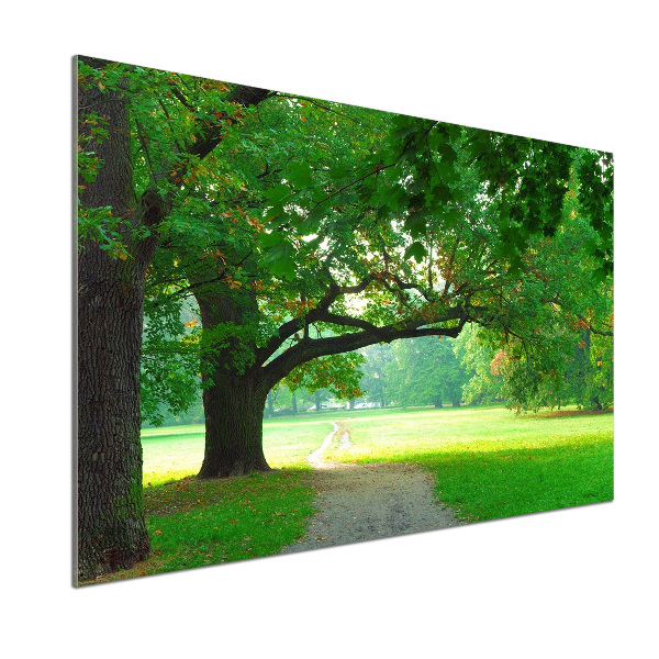 Crédence en verre avec motif Le parc en automne