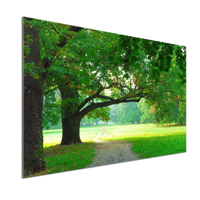 Crédence en verre avec motif Le parc en automne