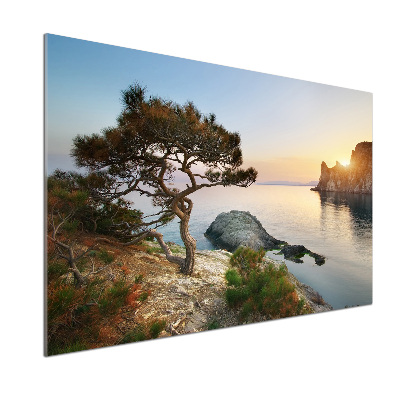 Panneau crédence cuisine Arbre au bord de la mer