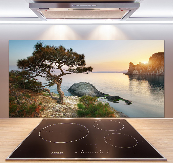 Panneau crédence cuisine Arbre au bord de la mer