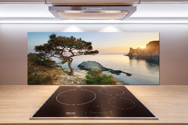 Panneau crédence cuisine Arbre au bord de la mer