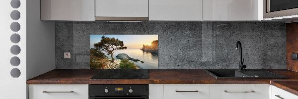 Panneau crédence cuisine Arbre au bord de la mer
