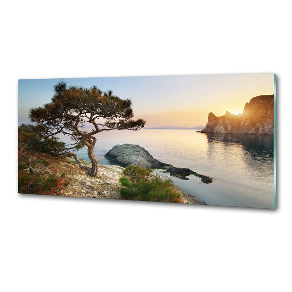 Panneau crédence cuisine Arbre au bord de la mer