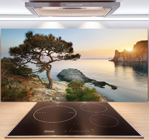 Panneau crédence cuisine Arbre au bord de la mer