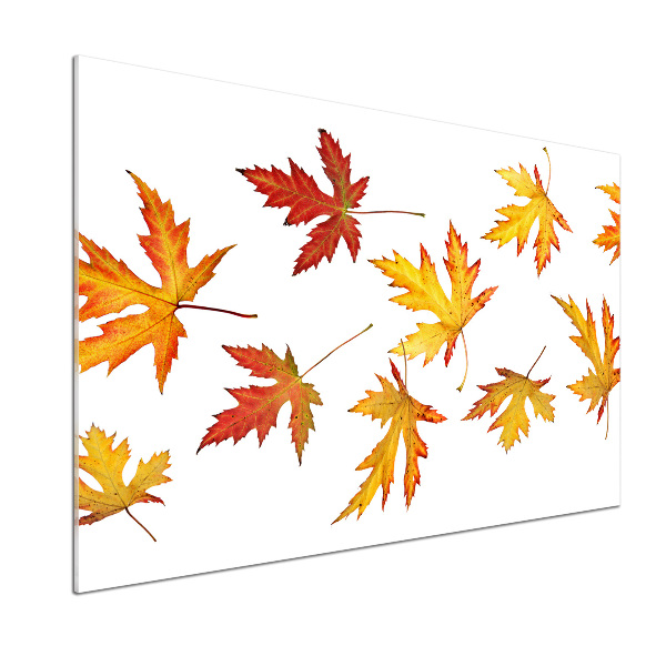 Crédence cuisine en verre Feuilles d'automne