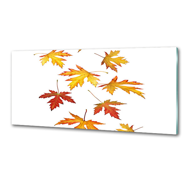 Crédence cuisine en verre Feuilles d'automne