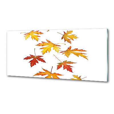 Crédence cuisine en verre Feuilles d'automne