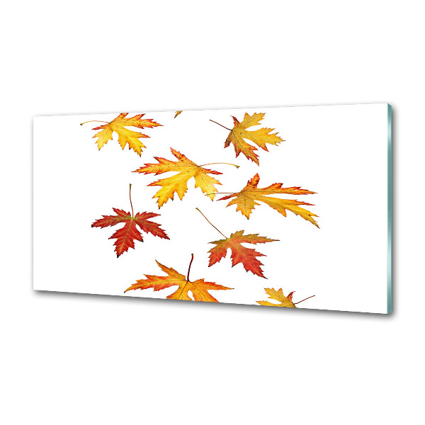 Crédence cuisine en verre Feuilles d'automne