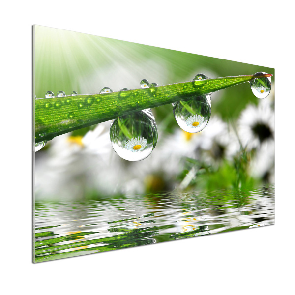 Crédence en verre Gouttes sur l'herbe