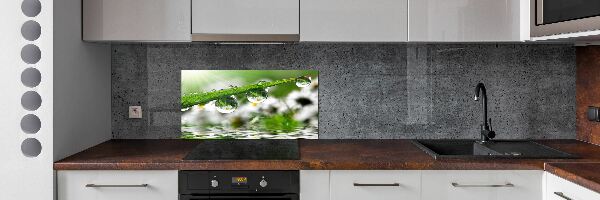 Crédence en verre Gouttes sur l'herbe