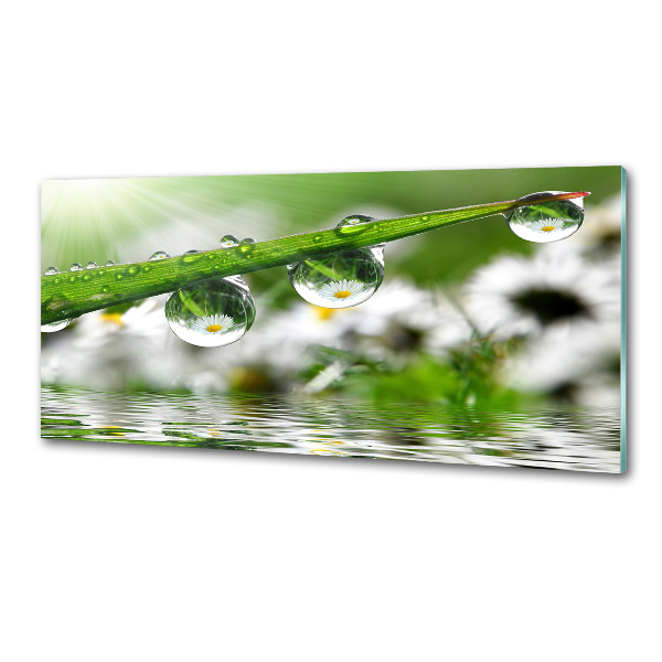 Crédence en verre Gouttes sur l'herbe
