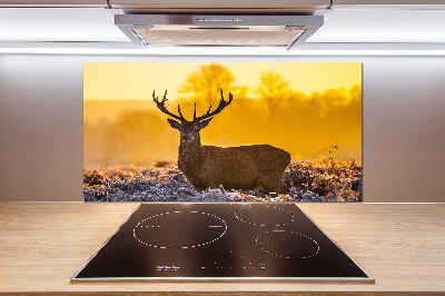 Crédence en verre cuisine Cerf au lever du soleil