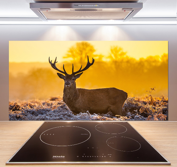 Crédence en verre cuisine Cerf au lever du soleil