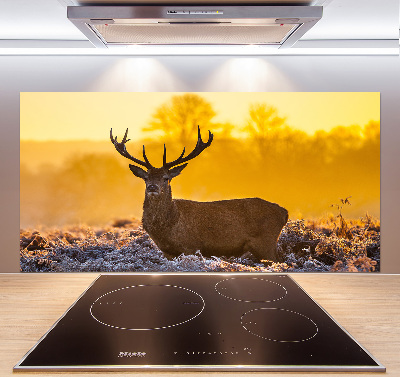 Crédence en verre cuisine Cerf au lever du soleil