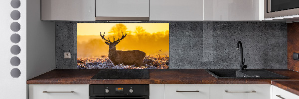 Crédence en verre cuisine Cerf au lever du soleil