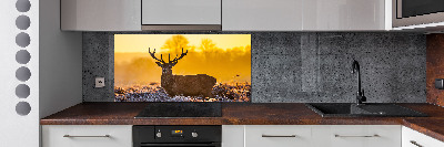Crédence en verre cuisine Cerf au lever du soleil