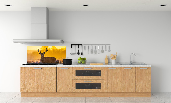 Crédence en verre cuisine Cerf au lever du soleil