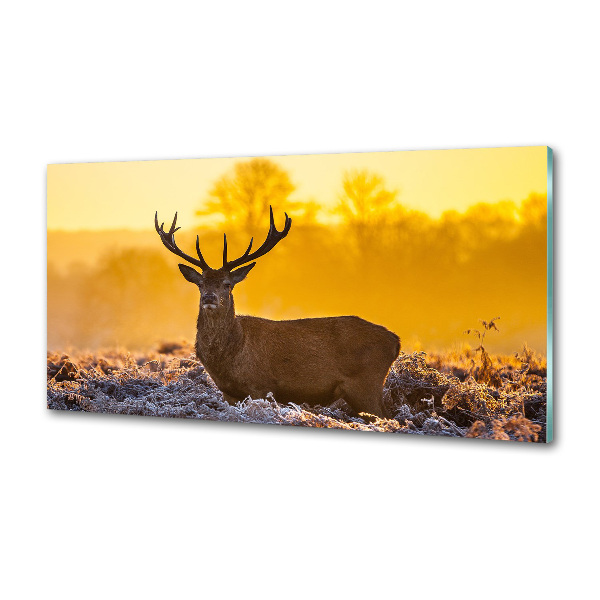 Crédence en verre cuisine Cerf au lever du soleil