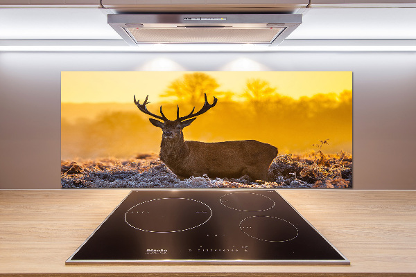 Crédence en verre cuisine Cerf au lever du soleil