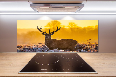 Crédence en verre cuisine Cerf au lever du soleil