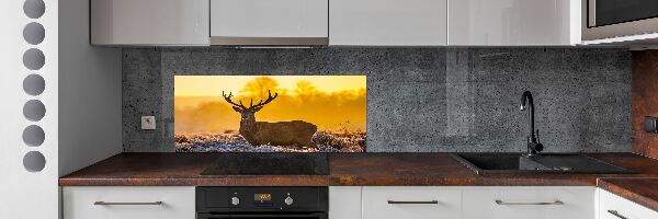 Crédence en verre cuisine Cerf au lever du soleil