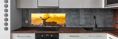 Crédence en verre cuisine Cerf au lever du soleil