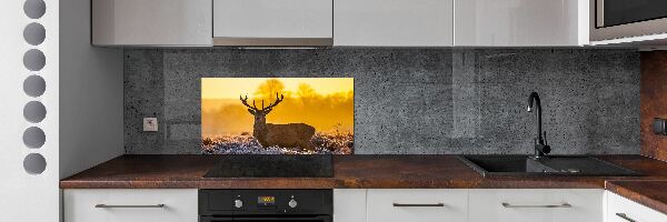 Crédence en verre cuisine Cerf au lever du soleil