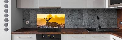 Crédence en verre cuisine Cerf au lever du soleil
