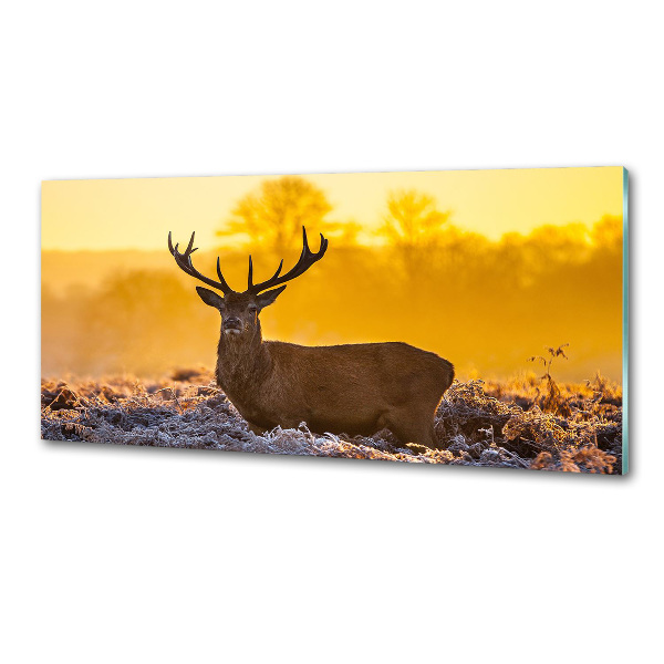 Crédence en verre cuisine Cerf au lever du soleil