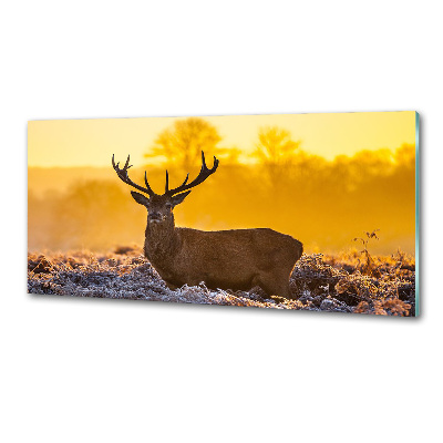 Crédence en verre cuisine Cerf au lever du soleil