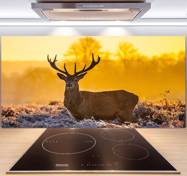 Crédence en verre cuisine Cerf au lever du soleil