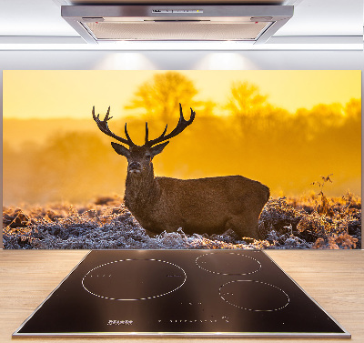 Crédence en verre cuisine Cerf au lever du soleil