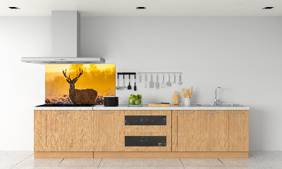 Crédence en verre cuisine Cerf au lever du soleil