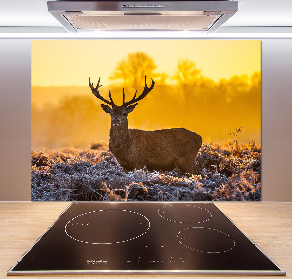 Crédence en verre cuisine Cerf au lever du soleil