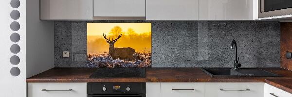 Crédence en verre cuisine Cerf au lever du soleil