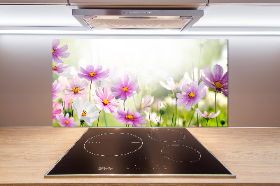 Panneau crédence cuisine Fleurs dans un pré